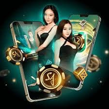 bwin365 login platform dashboard showing game information and account tier status